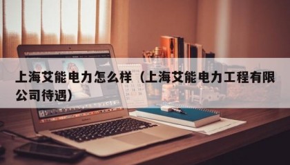 上海艾能电力怎么样（上海艾能电力工程有限公司待遇）