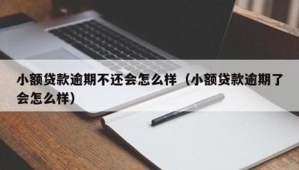 小额贷款逾期不还会怎么样（小额贷款逾期了会怎么样）